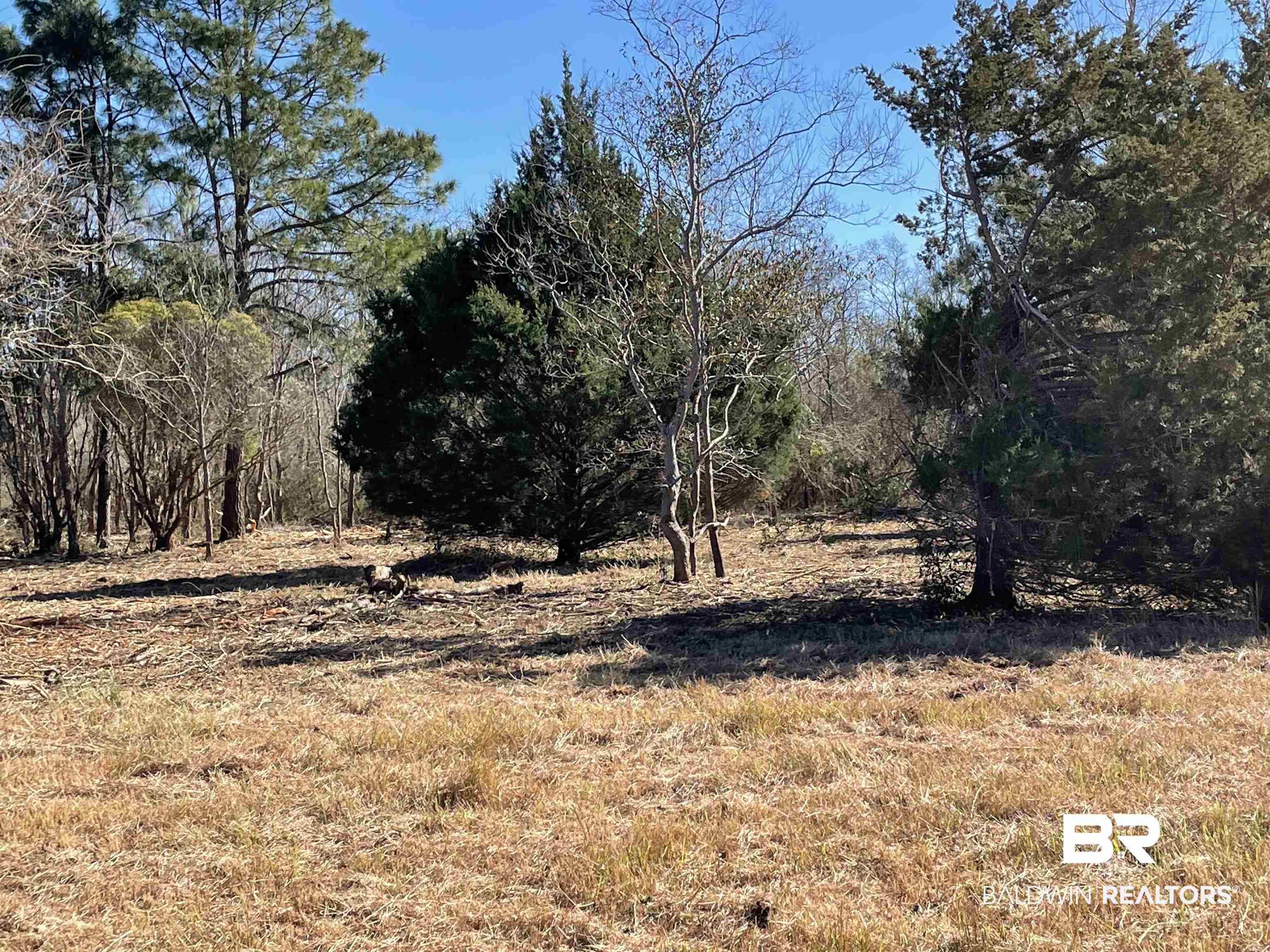 0 Makaira Drive Foley, AL 36535 - Photo 15 of 33