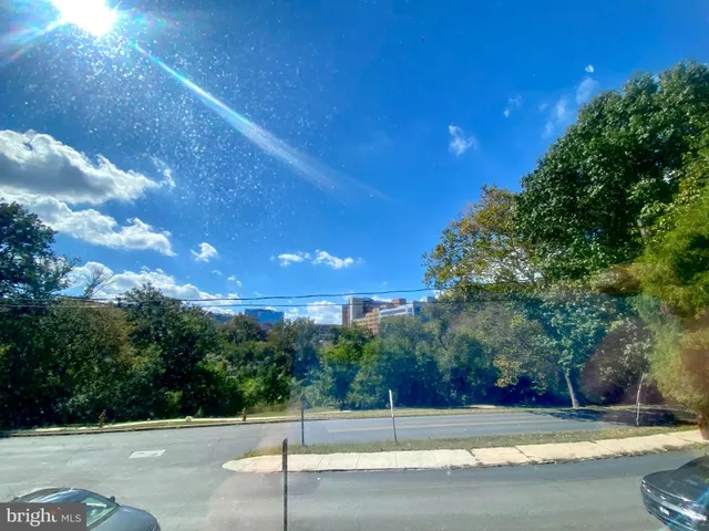 a view of street along with road and trees