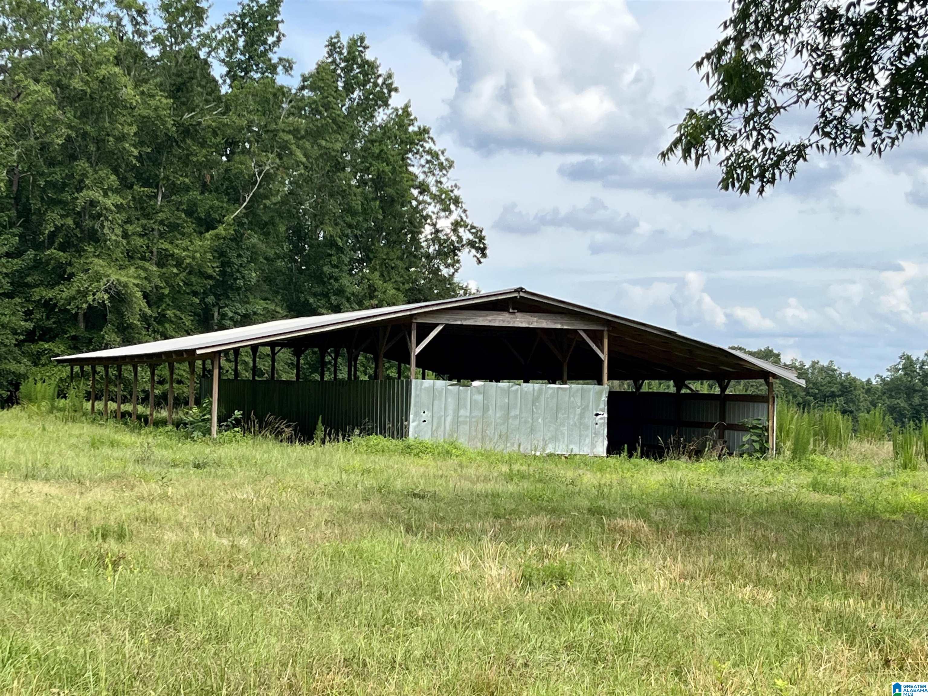 2917 Doublehead Road, Unit 170 ACRES Roanoke, AL 36274 - Photo 8 of 18
