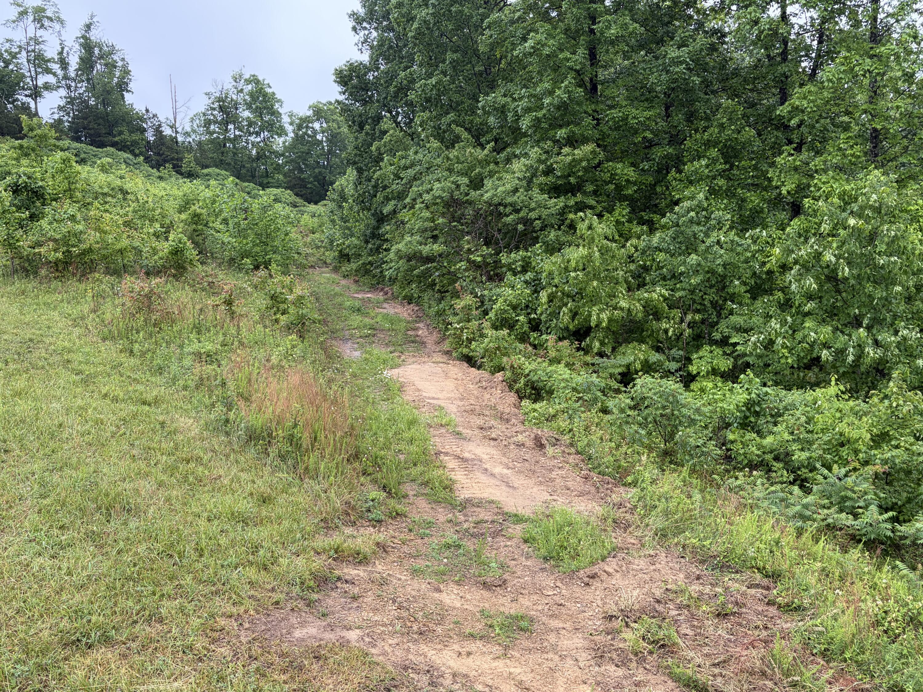 404 Lower Nickell Branch Road Hazel Green, KY 41332 - Photo 82 of 89 View from main shooting house