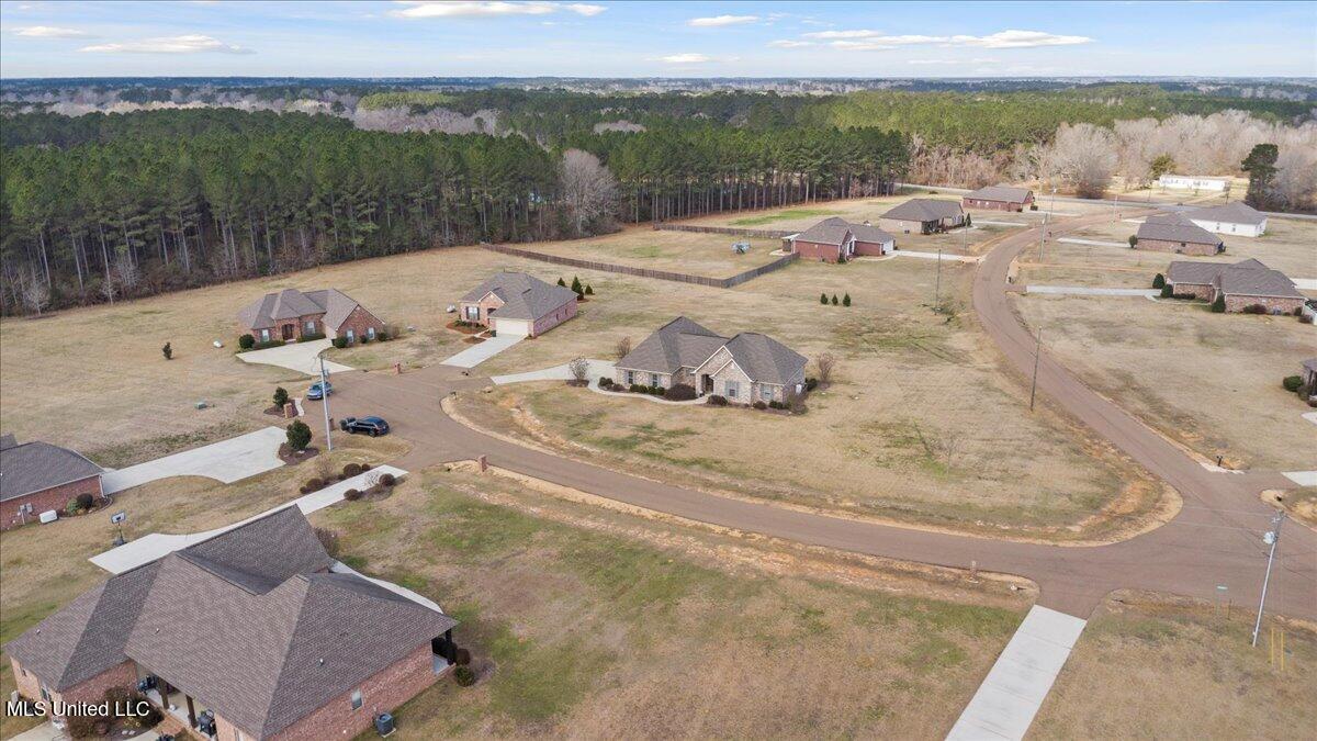 1010 Orleans Drive Summit, MS 39666 - Photo 35 of 38 36-DJI_0016