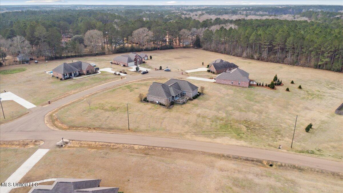 1010 Orleans Drive Summit, MS 39666 - Photo 36 of 38 37-DJI_0017