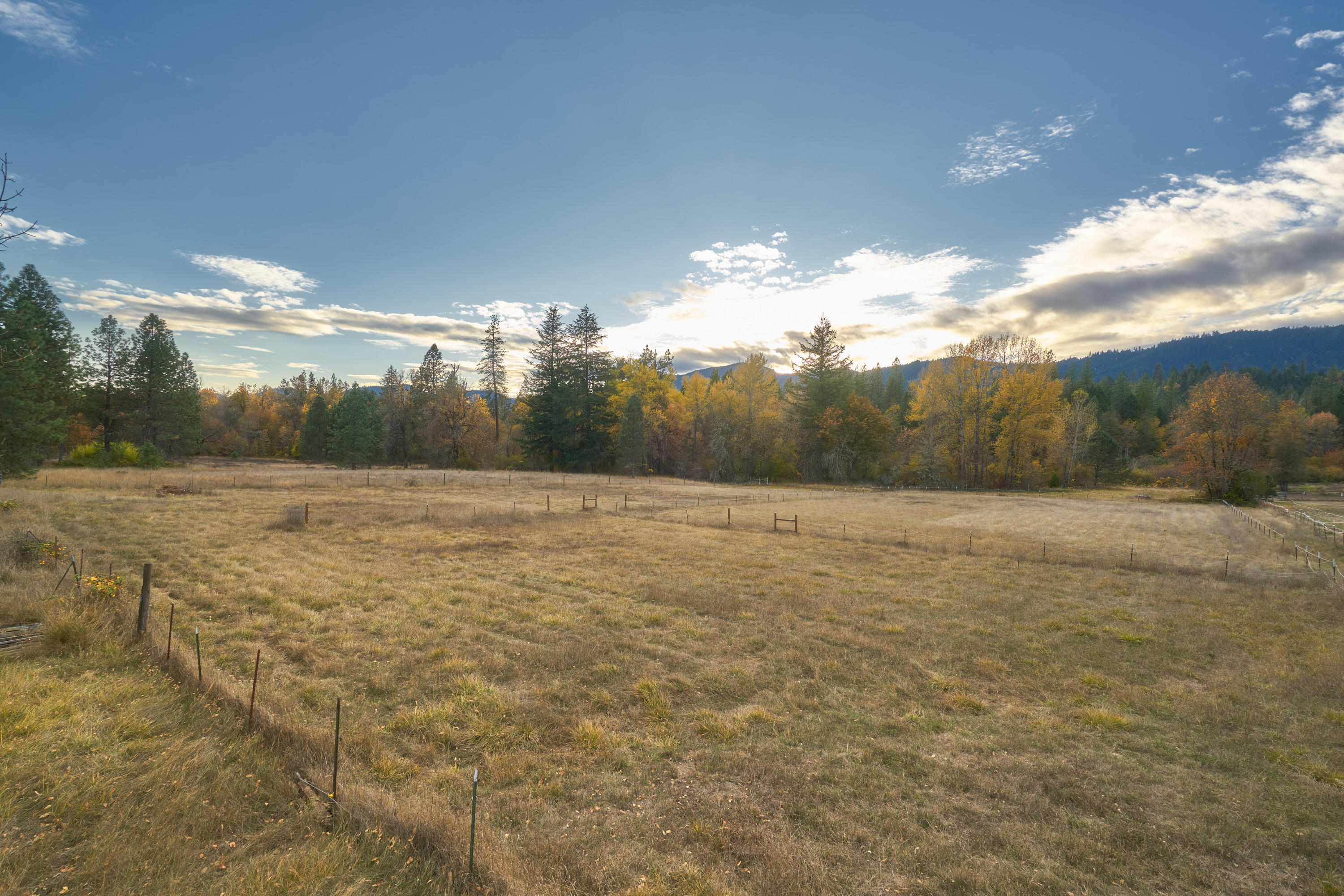 16881 Ford Rd_MLS_04