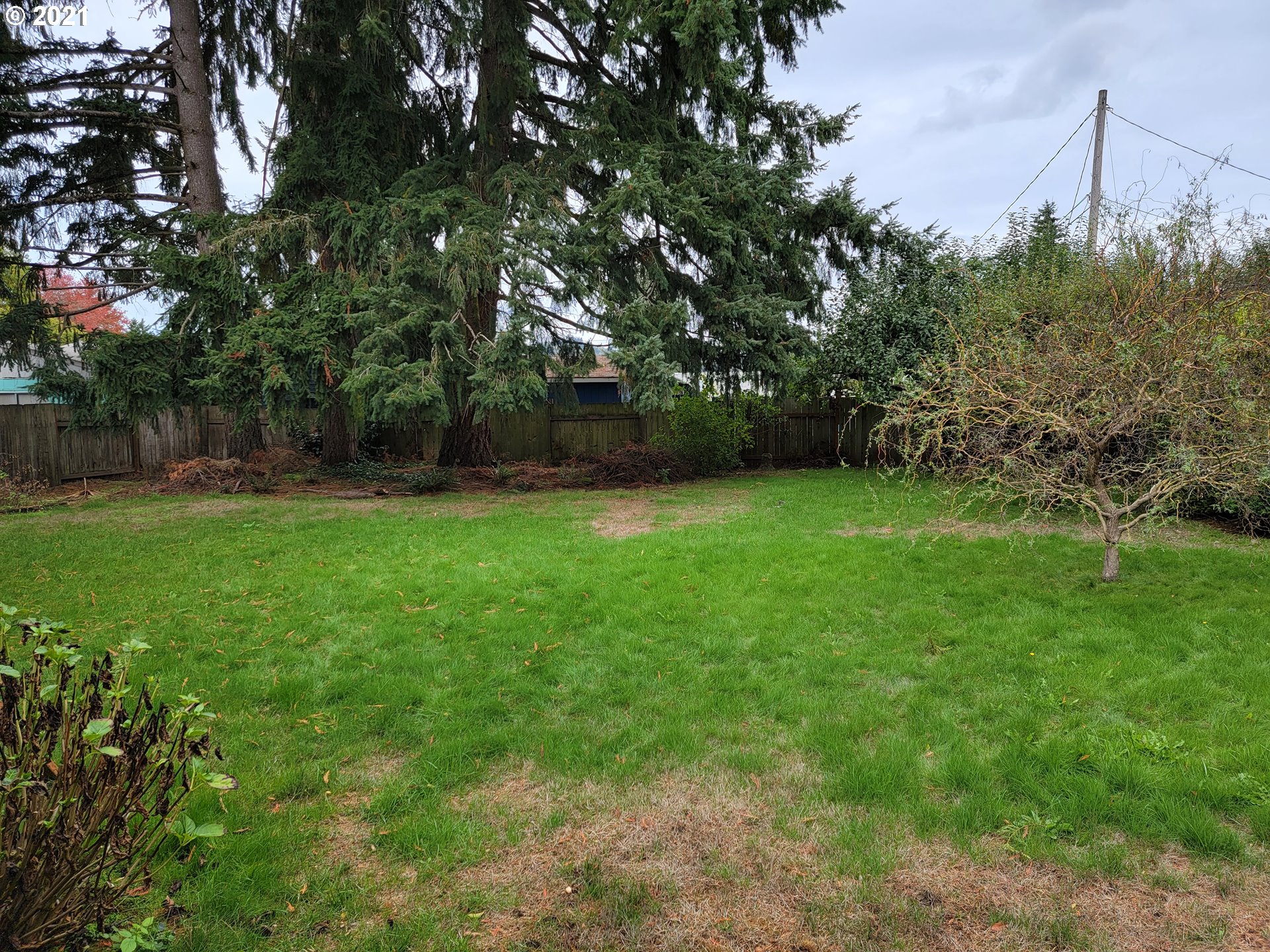 5180 D Street Springfield, OR 97478 - Photo 5 of 9 a view of a field of grass and trees