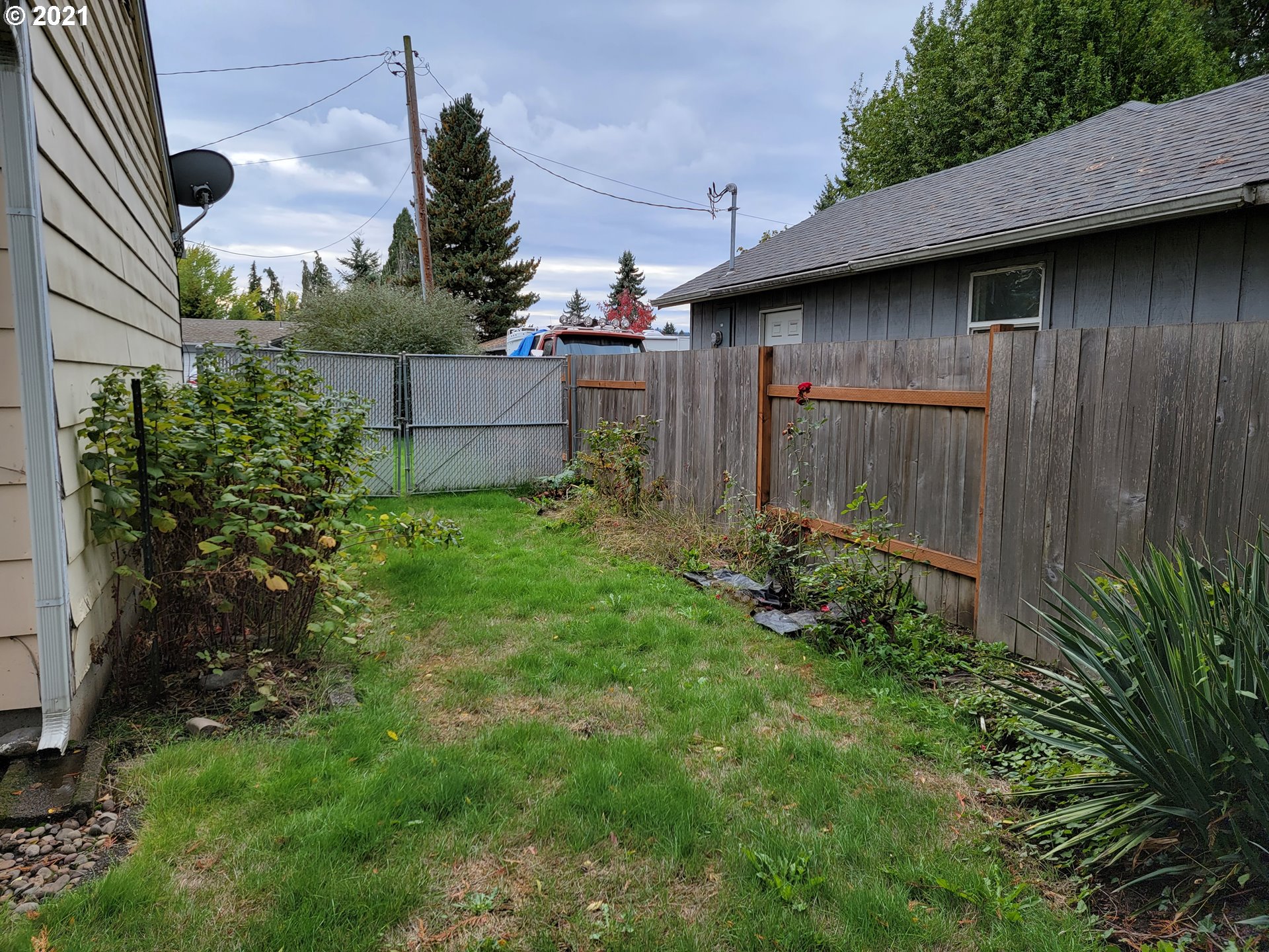 5180 D Street Springfield, OR 97478 - Photo 6 of 9 a view of a backyard with plants