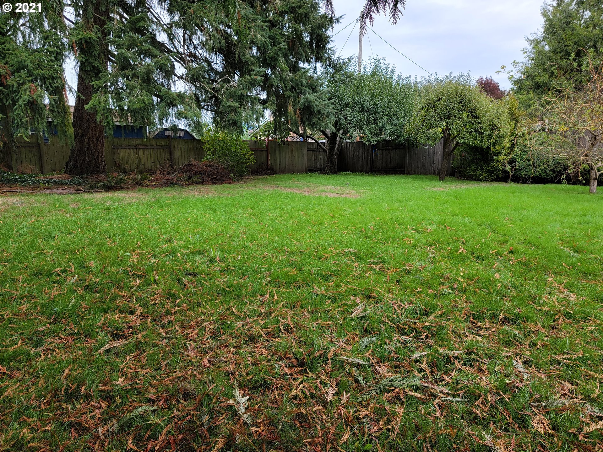 5180 D Street Springfield, OR 97478 - Photo 7 of 9 a view of a garden