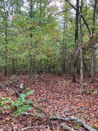 $20,280 | 195 Madison Cr, Fredericktown, MO 63645