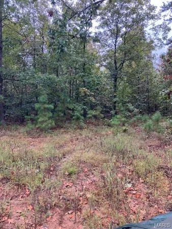 $20,280 | 195 Madison Cr, Fredericktown, MO 63645