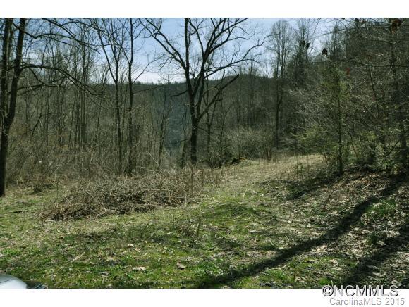 545 Roaring Fork Road Hot Springs, NC 28743 - Photo 18 of 19 Gallery Image 18