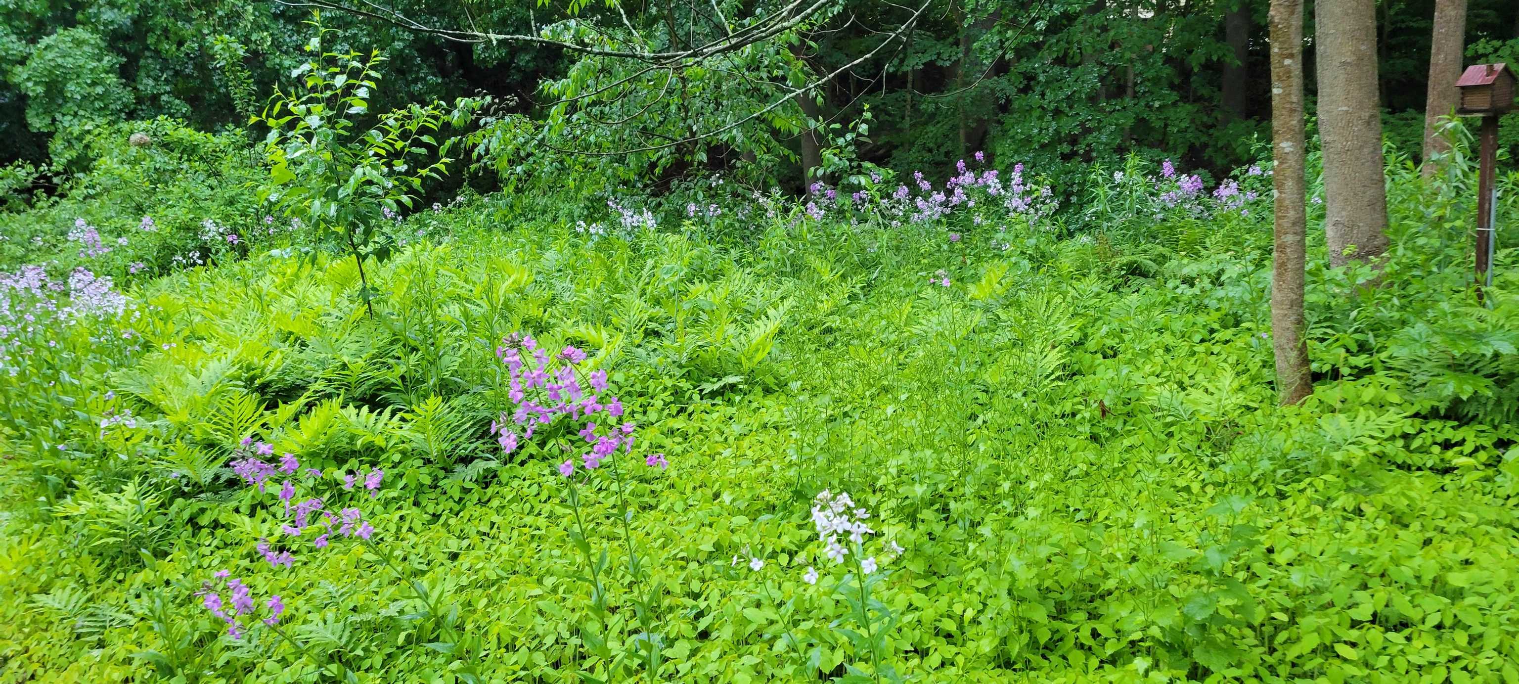 345 Washington Street Dover, NH 03820 - Photo 48 of 51