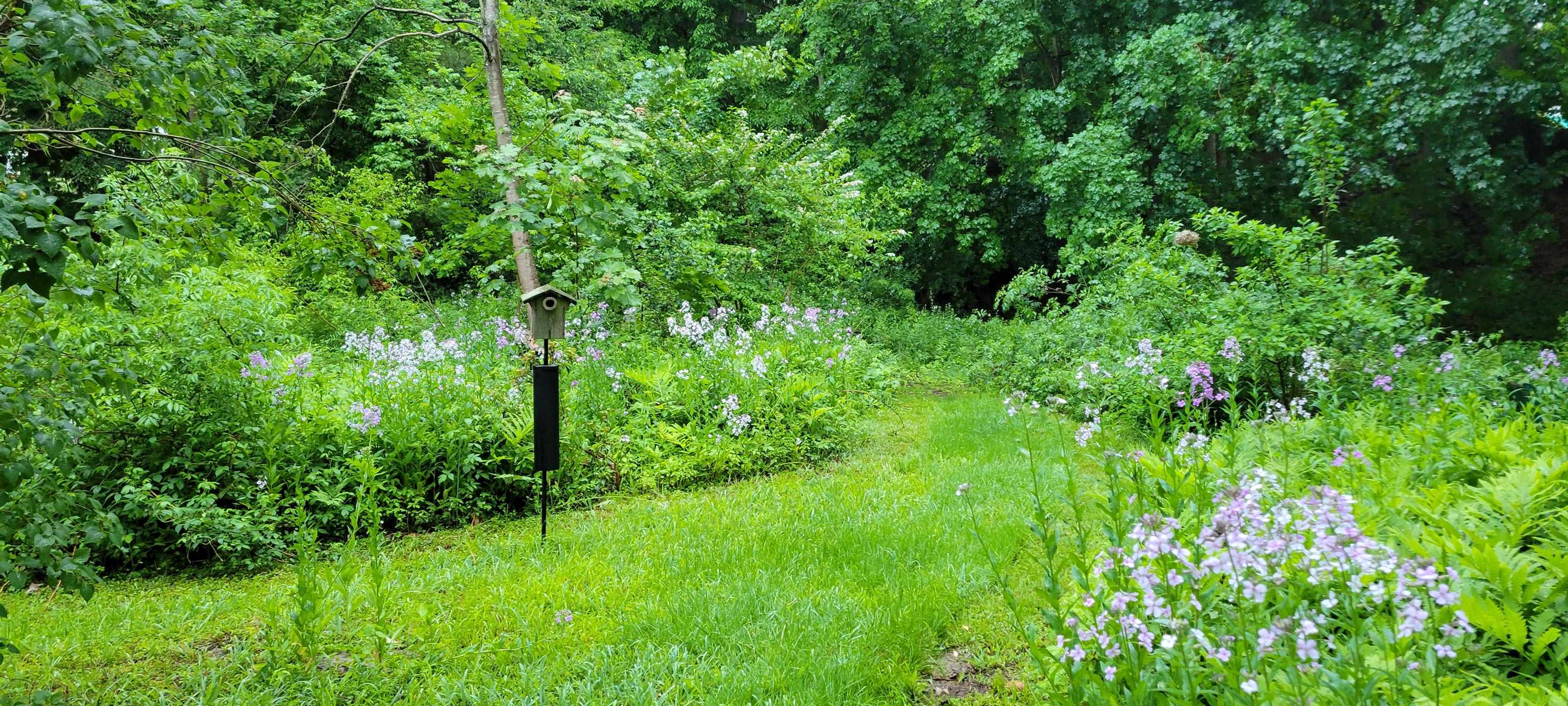 345 Washington Street Dover, NH 03820 - Photo 49 of 51