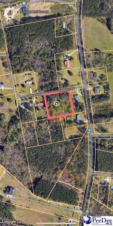 0 Ballpark Road Effingham, SC 29541 - Photo 5 of 5 Gallery Image 5