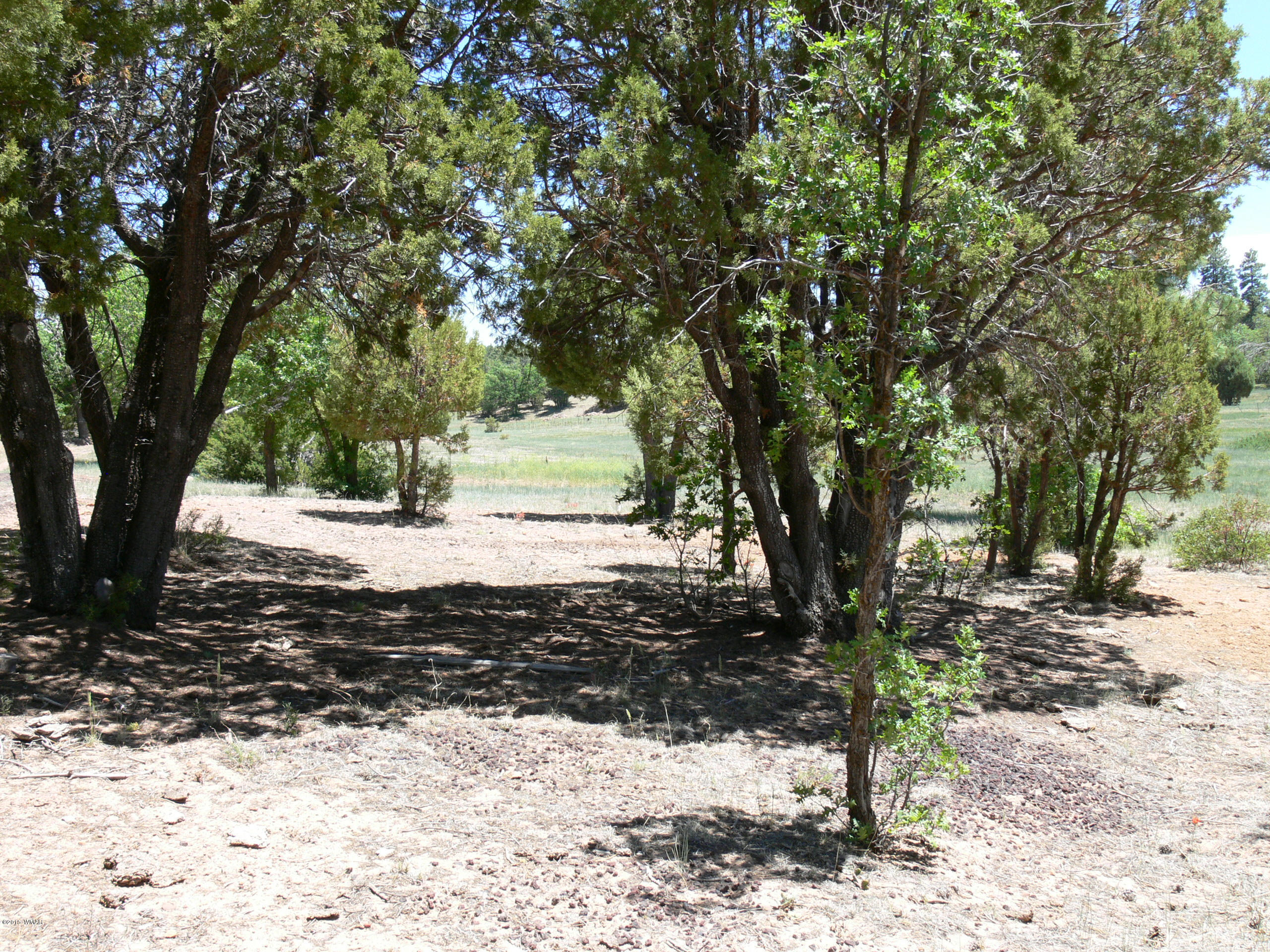 107 A Forest Overgaard, AZ 85933 - Photo 2 of 2