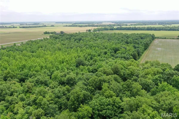 $175,000 | 67 County Road 352, Neelyville, MO 63954