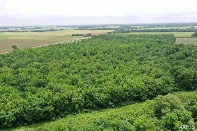 $175,000 | 67 County Road 352, Neelyville, MO 63954