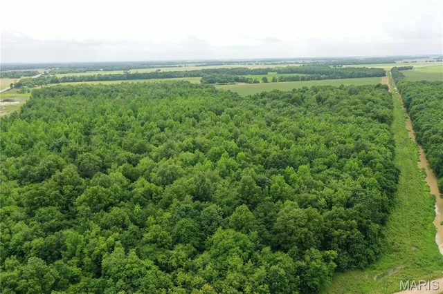 $175,000 | 67 County Road 352, Neelyville, MO 63954