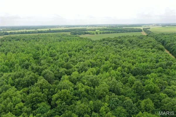 $175,000 | 67 County Road 352, Neelyville, MO 63954