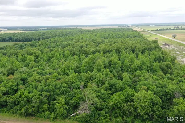 $175,000 | 67 County Road 352, Neelyville, MO 63954