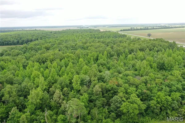 $175,000 | 67 County Road 352, Neelyville, MO 63954