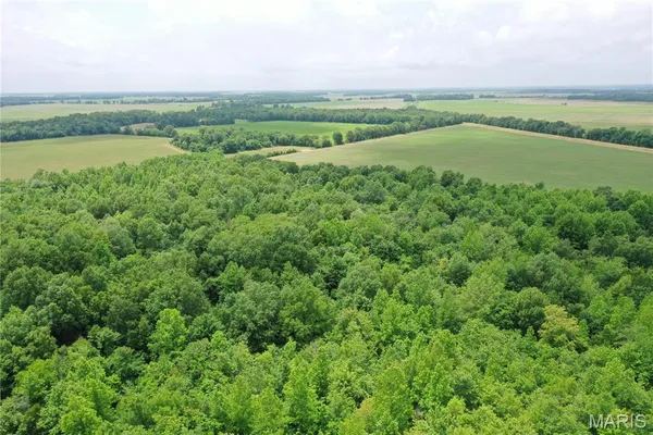 $175,000 | 67 County Road 352, Neelyville, MO 63954