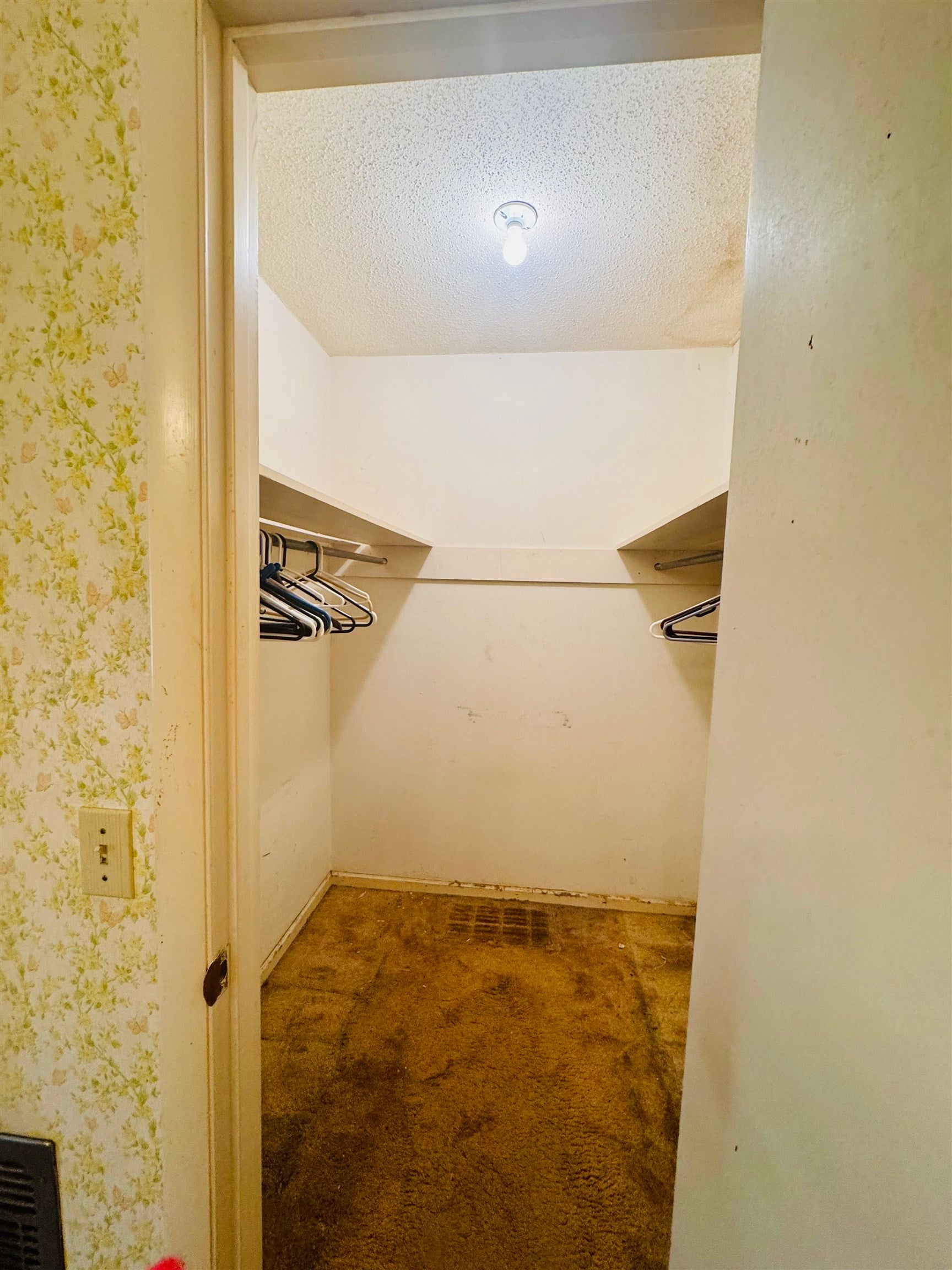 22737 Fleeta Road Opp, AL 36467 - Photo 35 of 37 Gallery Image 35