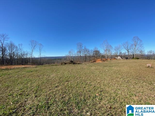 414 Stone Ridge, Unit 5 AND 6 Springville, AL 35146 - Photo 13 of 20