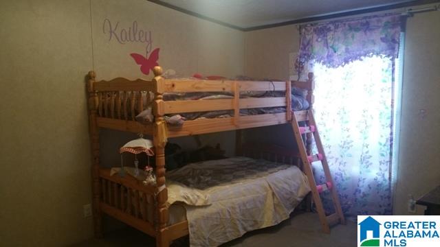 1015 Hamilton Road Pell City, AL 35128 - Photo 15 of 37