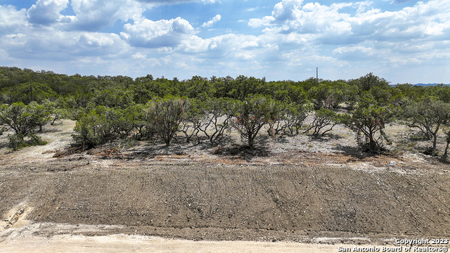 625 Rosemary Ridge Drive Bulverde, TX 78163 - Photo 9 of 11