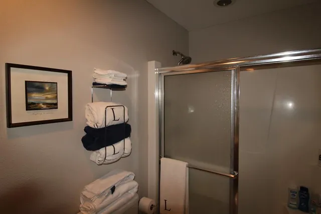 a bathroom with a shower and a window