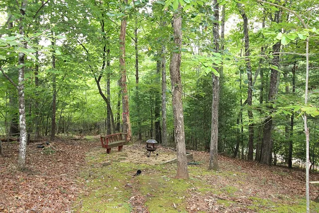 a view of a house with backyard