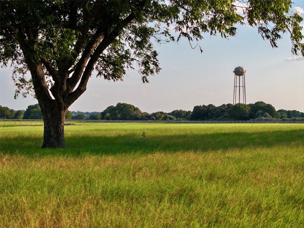 990 Farm To Market 113 Weatherford, TX 76088 - Photo 23 of 37 a view of a lake with a big yard and large trees