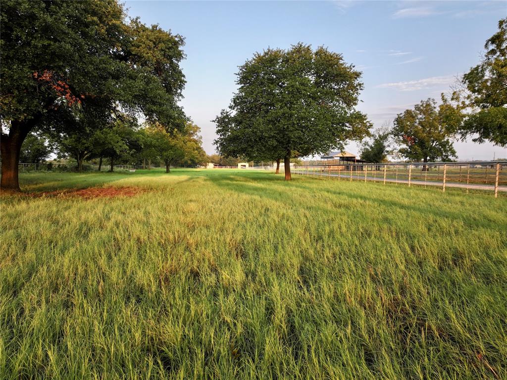 990 Farm To Market 113 Weatherford, TX 76088 - Photo 31 of 37 a view of a field with trees