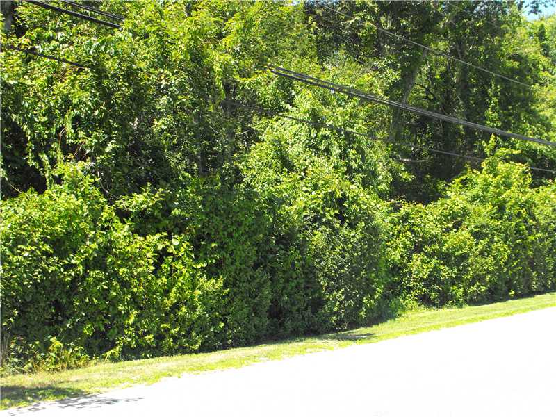 0 Tockwotten Cove Road Charlestown, RI 02813 - Photo 1 of 18 View. Build your Dream Home on this 1+ acre lot on the South Side of Route 1A. 4 bed conventional ISDS in place.