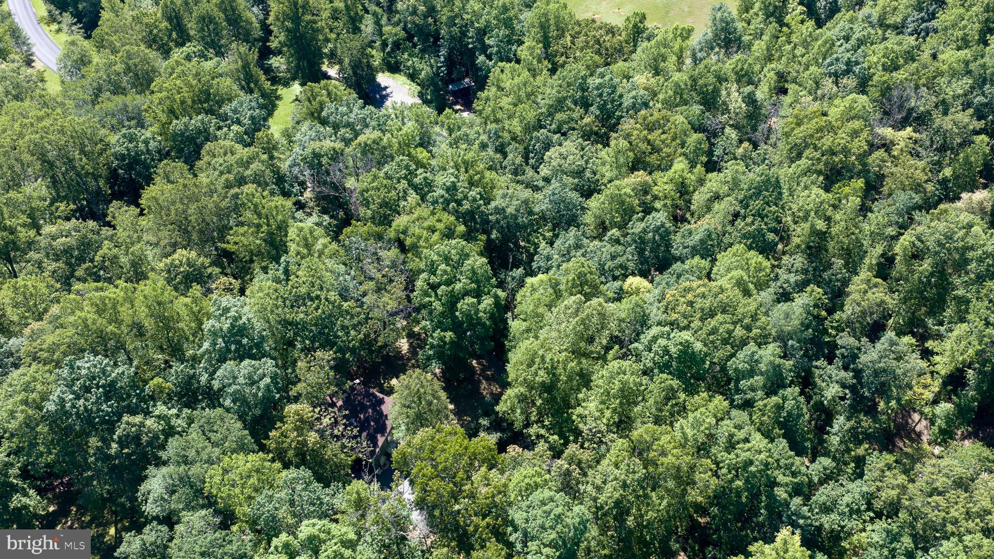 11408 Dutch Hollow Road Culpeper, VA 22701 - Photo 70 of 85