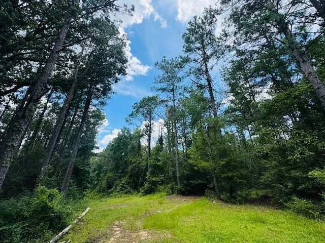 $379,900 | 107 A Brock Road, Tylertown, MS 39667