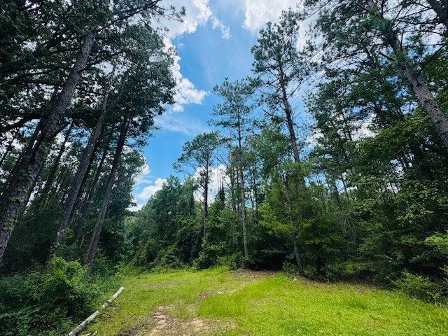 107 A Brock Road Tylertown, MS 39667 - Photo 36 of 54 Photo 36