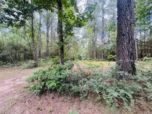 $379,900 | 107 A Brock Road, Tylertown, MS 39667
