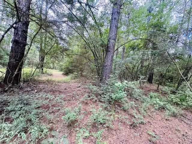 $379,900 | 107 A Brock Road, Tylertown, MS 39667