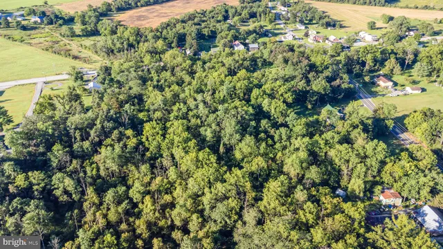 a view of a large yard with green space