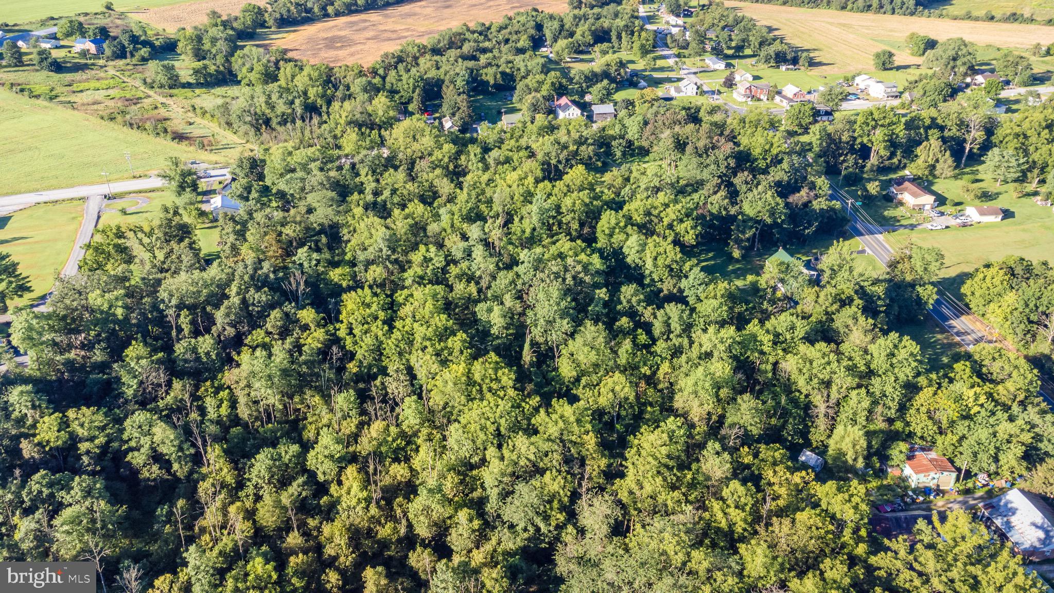 0 Heidlersburg Road Gettysburg, PA 17325 - Photo 12 of 18 a view of a large yard with green space