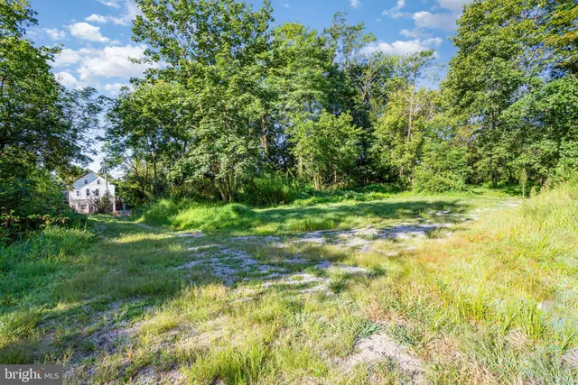 a view of a yard with a tree