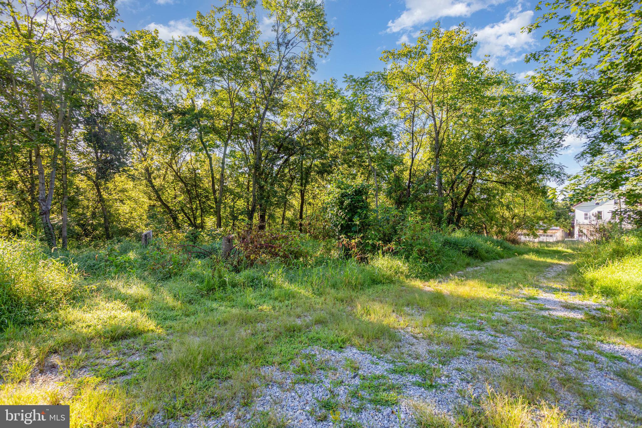 0 Heidlersburg Road Gettysburg, PA 17325 - Photo 8 of 18 a view of a yard with plants and large trees