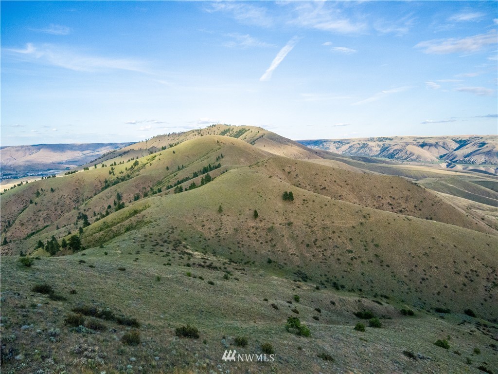 238 Hawks Ridge Road Chelan, WA 98816 - Photo 12 of 25 Gallery Image 12