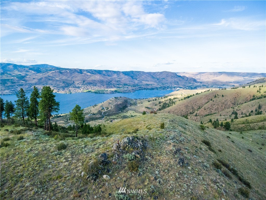 238 Hawks Ridge Road Chelan, WA 98816 - Photo 14 of 25 Gallery Image 14
