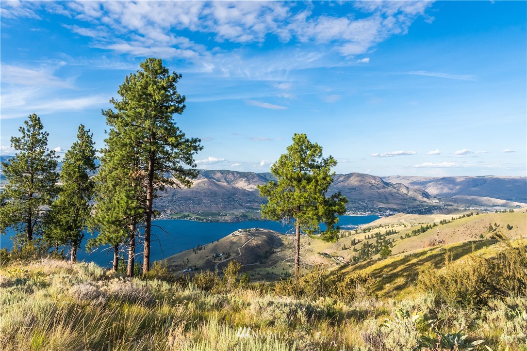 238 Hawks Ridge Road Chelan, WA 98816 - Photo 15 of 25 Gallery Image 15