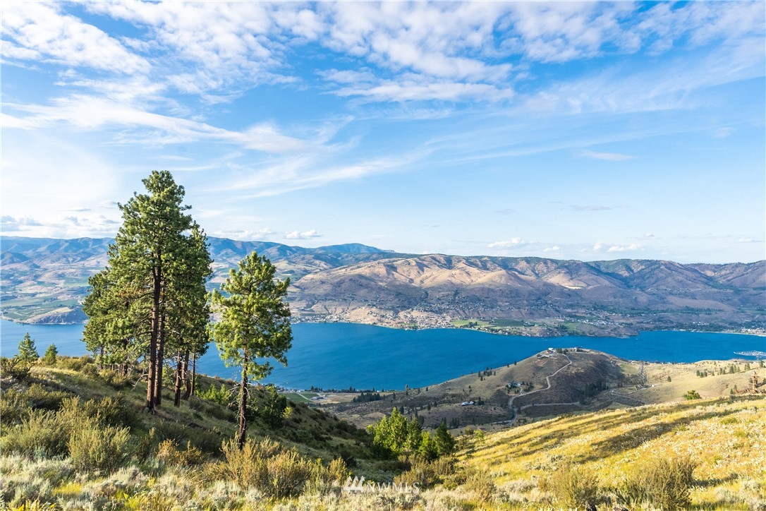 238 Hawks Ridge Road Chelan, WA 98816 - Photo 16 of 25 Gallery Image 16