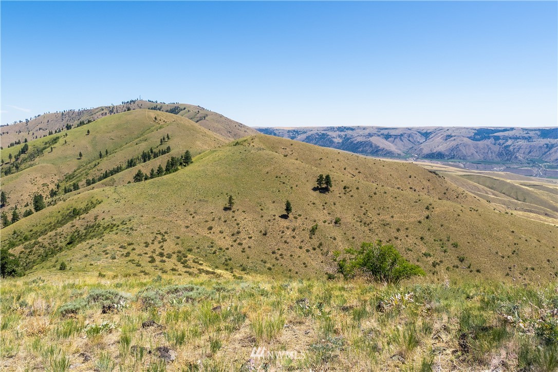 238 Hawks Ridge Road Chelan, WA 98816 - Photo 4 of 25 Gallery Image 4