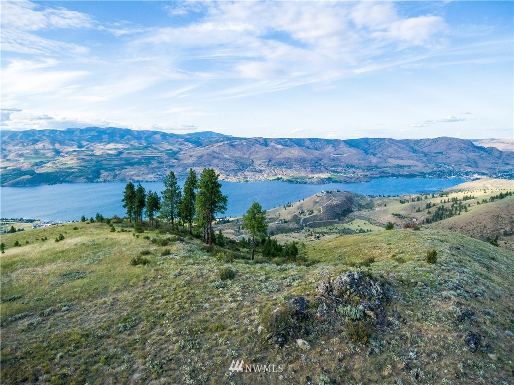 238 Hawks Ridge Road Chelan, WA 98816 - Photo 5 of 25 Gallery Image 5