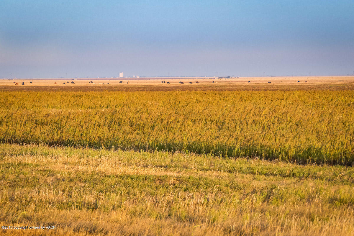 3 Hungate Road Canyon, TX 79015 - Photo 7 of 12 Hungate_20ac_Tracts-5