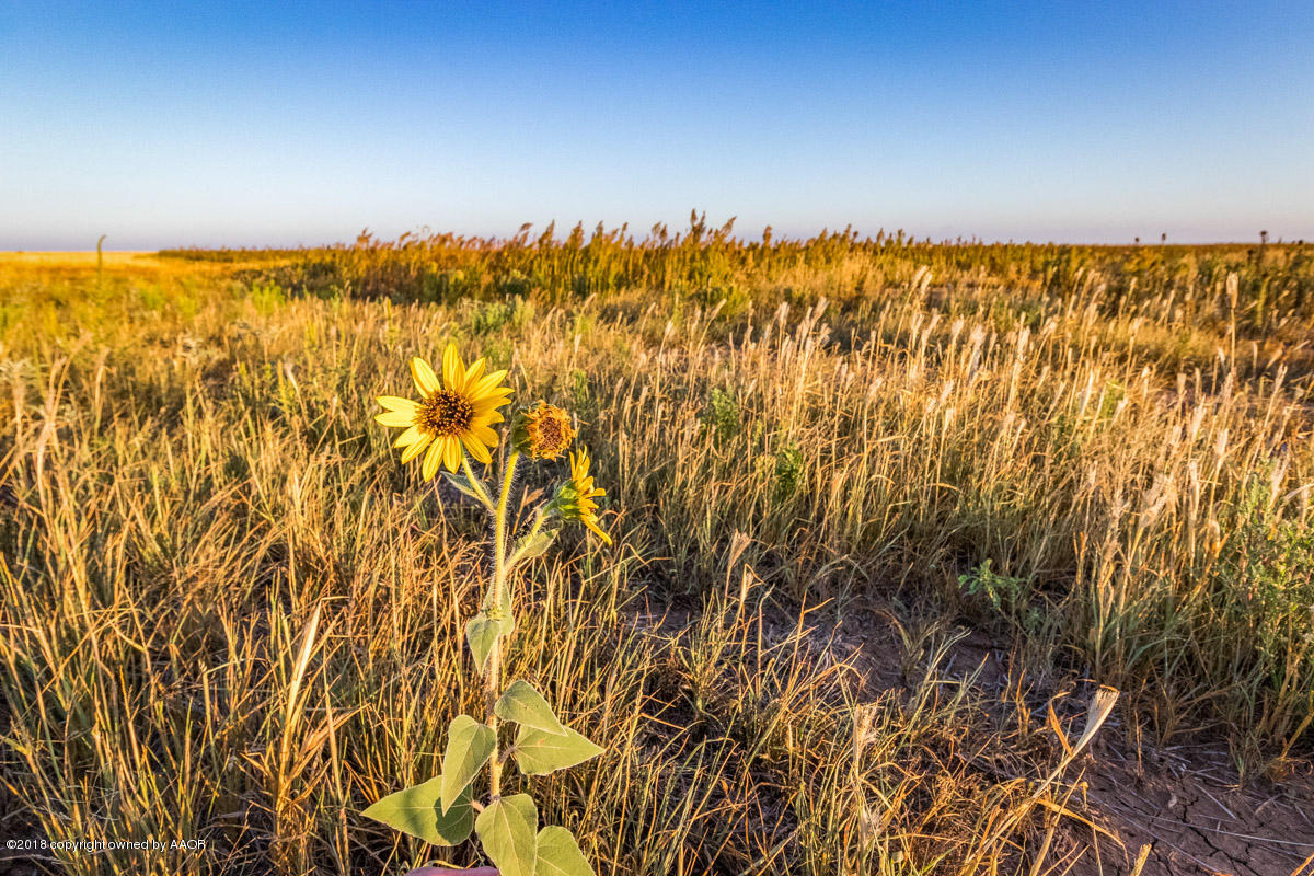 3 Hungate Road Canyon, TX 79015 - Photo 10 of 12 Hungate_20ac_Tracts-13